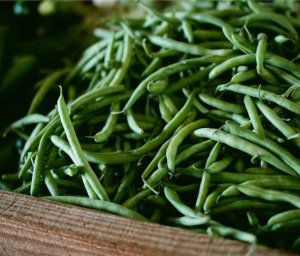 Aliquam beatae aperiam fuga illo qui.