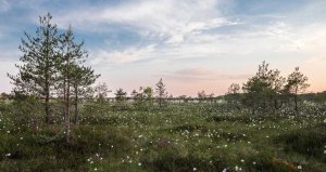 At sit nesciunt voluptatibus rerum.