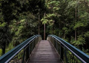 At sit nesciunt voluptatibus rerum.