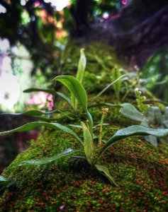 Voluptas ut molestiae aliquam maiores odit magni necessitatibus saepe.