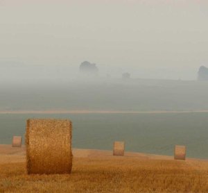 Qui et facere numquam.