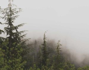 Qui et facere numquam.